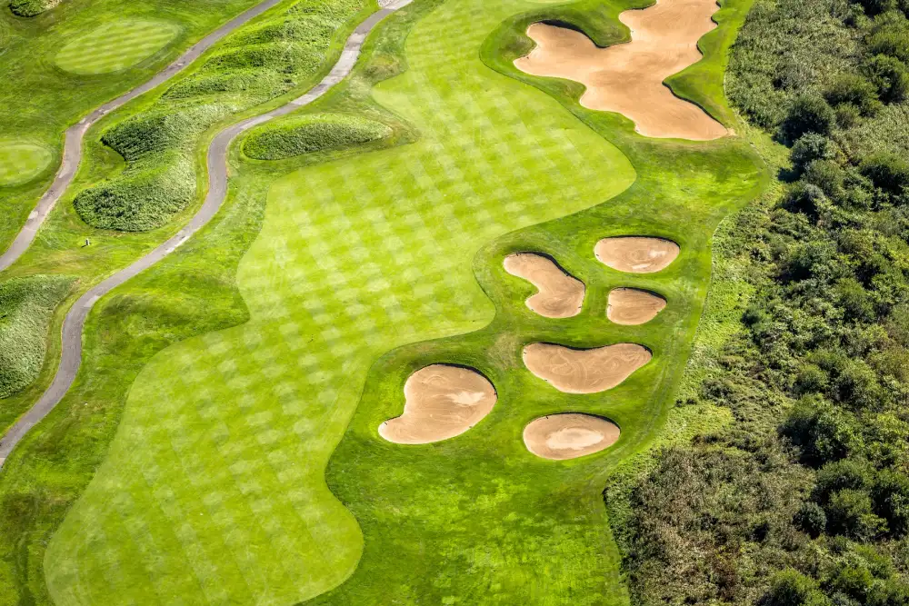 Basement golf simulator room design